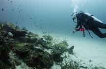 Scuba Diving in Phuket – Full-Day Trip (3 Dives, All Included)