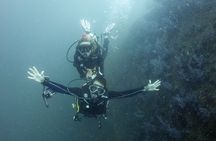 Scuba Diving in Phuket – Full-Day Trip (3 Dives, All Included)
