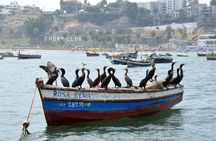 Lima Off the Beaten Path: Local Communities and Cultural Immersion