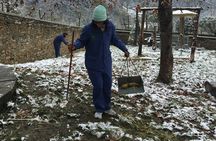 Private Wolong Panda Base and Earthquake Site Day Tour