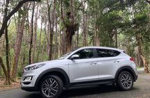Full Day Private custom Tour with Drive-Guide in Mauritius