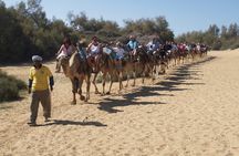 e-Scooter City Tour + Camel Ride inside Maspalomas Dunes 