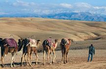Camel Ride and Magical dinner in Agafay Desert 