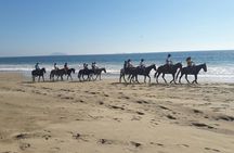 Small-Group Half-Day Kayaking and Horse Riding with Lunch