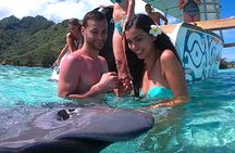 3-hour Lagoon Snorkeling Tour - Shared Tour