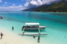 3-hour Lagoon Snorkeling Tour - Shared Tour