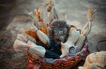 Quintana Roo 5 hours Chocolate Maya Ceremony and Temazcal Maya Ritual Tour