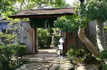 Bonsai Museum & Bonsai Experience