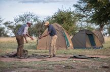 6 Days Private Budget Safari