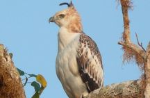 12 Nights Wild Life & Nature Tour