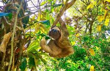 The Panama City: Hike & Sights Private Tour