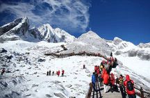 Lijiang Private Day Tour to Jade Dragon Snow Mountain, Impressions Show and More