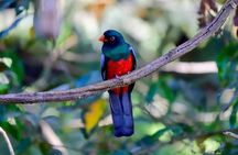 The Panama Canal: Trek & Cruise Private Tour 