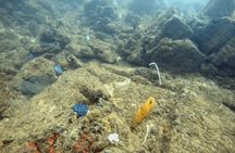 Scuba Diving in Mirissa