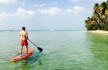 Stand Up Paddle Lessons
