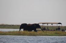5-DAY Victoria Falls and Chobe National Park