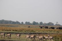 5-DAY Victoria Falls and Chobe National Park