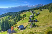 Pokljuka Mountain Biking