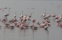 2 Days 1 Night tour to the Amboseli National Park.
