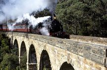 [Private Tour] Healesville Sanctuary Wildlife & Puffing Billy Steam Train