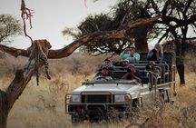 Kruger National Park Best Tour