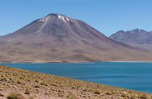 Full day Altiplanic Lagoons + Red stones viewpoint + Salar de Atacama