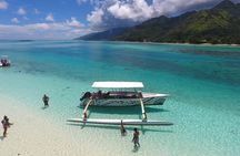 3-hour Lagoon Snorkeling Tour - Private Tour
