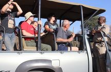 Safari Game Drive in Zambezi National Park with Hotel Pickup