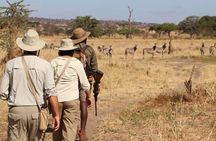 2 Days Lodge safari.