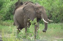 2 Days Lodge safari.