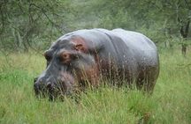 2 Days Lodge safari.