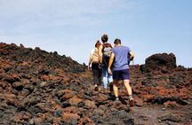 Etna trekking and wine tasting