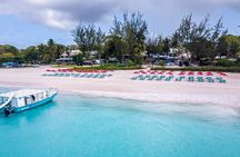 Harbour Lights-Chair &Turtle Shipwreck Snorkel Tour(10:30-1:30pm)