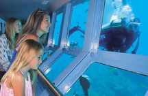 Quicksilver Great Barrier Reef Snorkel Cruise from Port Douglas