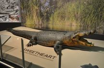 Darwin City Explorer Tour