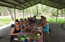Litchfield and Jumping Crocodiles Full Day Trip from Darwin