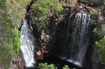 Litchfield and Jumping Crocodiles Full Day Trip from Darwin