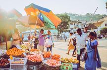 12 Days Tour in Sri Lanka