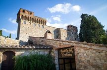 Tour of 900year old secret cellars + tasting of 3 wines and bread with EVO oil