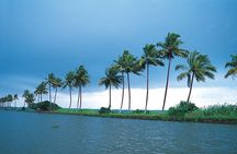 Private Houseboat Backwater Day Cruise tour with Lunch from Cochin