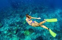Hamata Island snorkeling tour from Marsa Alam 