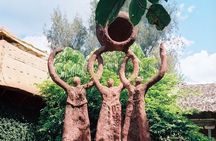 Nrityagram - A Unique Indian Dance Village