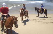 Small-Group Half-Day Kayaking and Horse Riding with Lunch