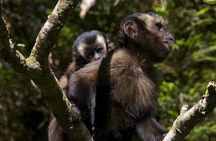 4-Day Manu Jungle Trip from Cusco