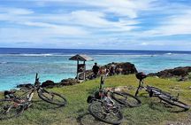 'Discover' Rarotonga Cycling Tour with Lunch