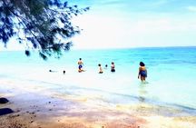 'Explore' Rarotonga Guided Bike Tour with Lunch and Swim