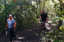 Pacaya Volcano Tour and Hot Springs from Guatemala City