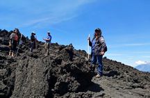 Pacaya Volcano Tour and Hot Springs from Guatemala City