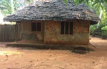 Spice Farm Tour and Jozani Forest Private Tour in Zanzibar