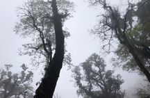 Hiking Fansipan in 1 day